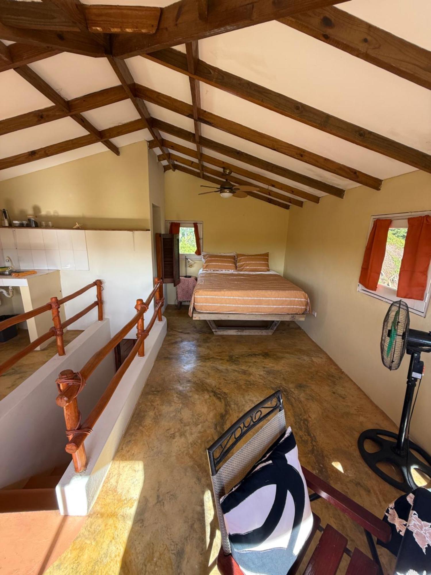 Yes Papa! Rooms Only 100M From The Beach! Las Galeras Dış mekan fotoğraf