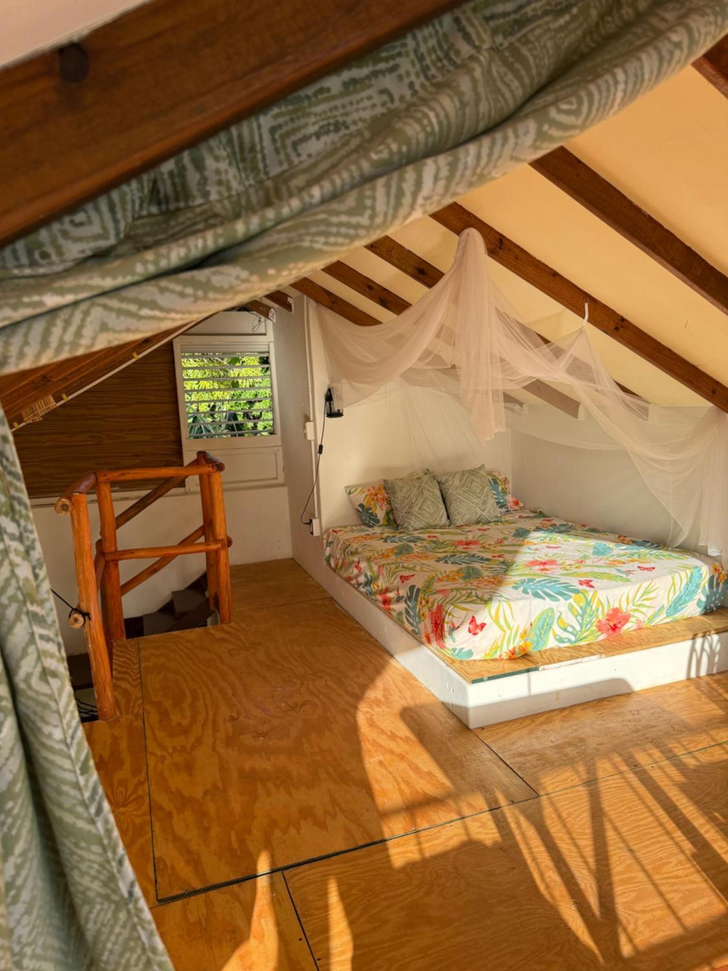 Yes Papa! Rooms Only 100M From The Beach! Las Galeras Dış mekan fotoğraf