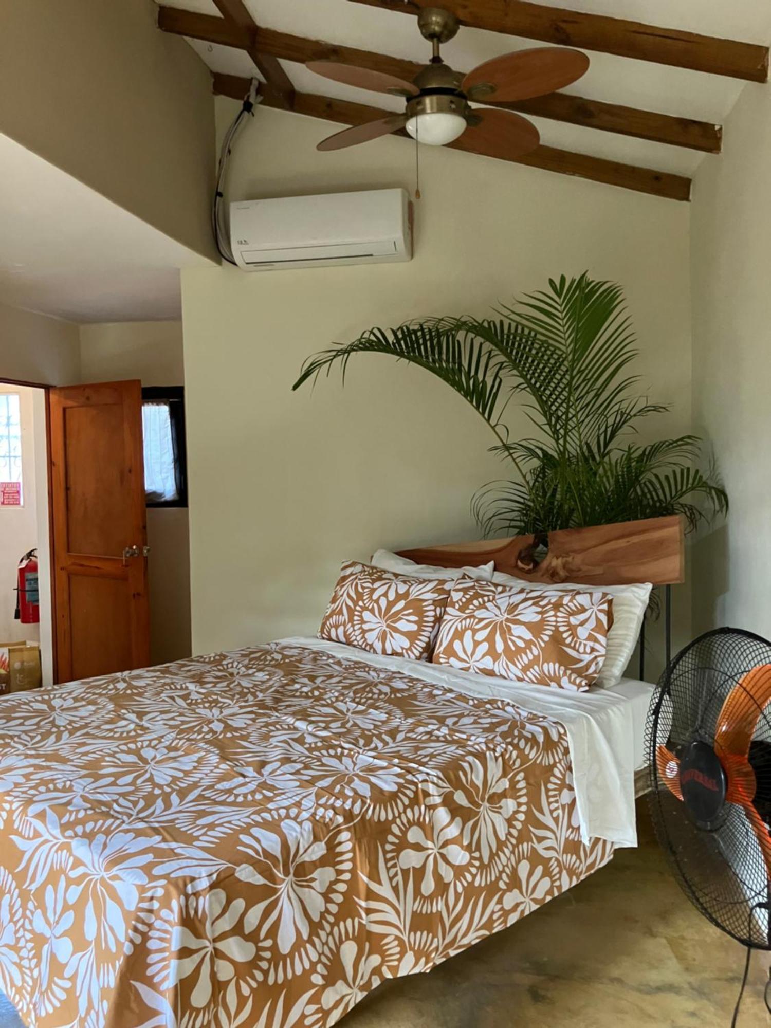 Yes Papa! Rooms Only 100M From The Beach! Las Galeras Dış mekan fotoğraf