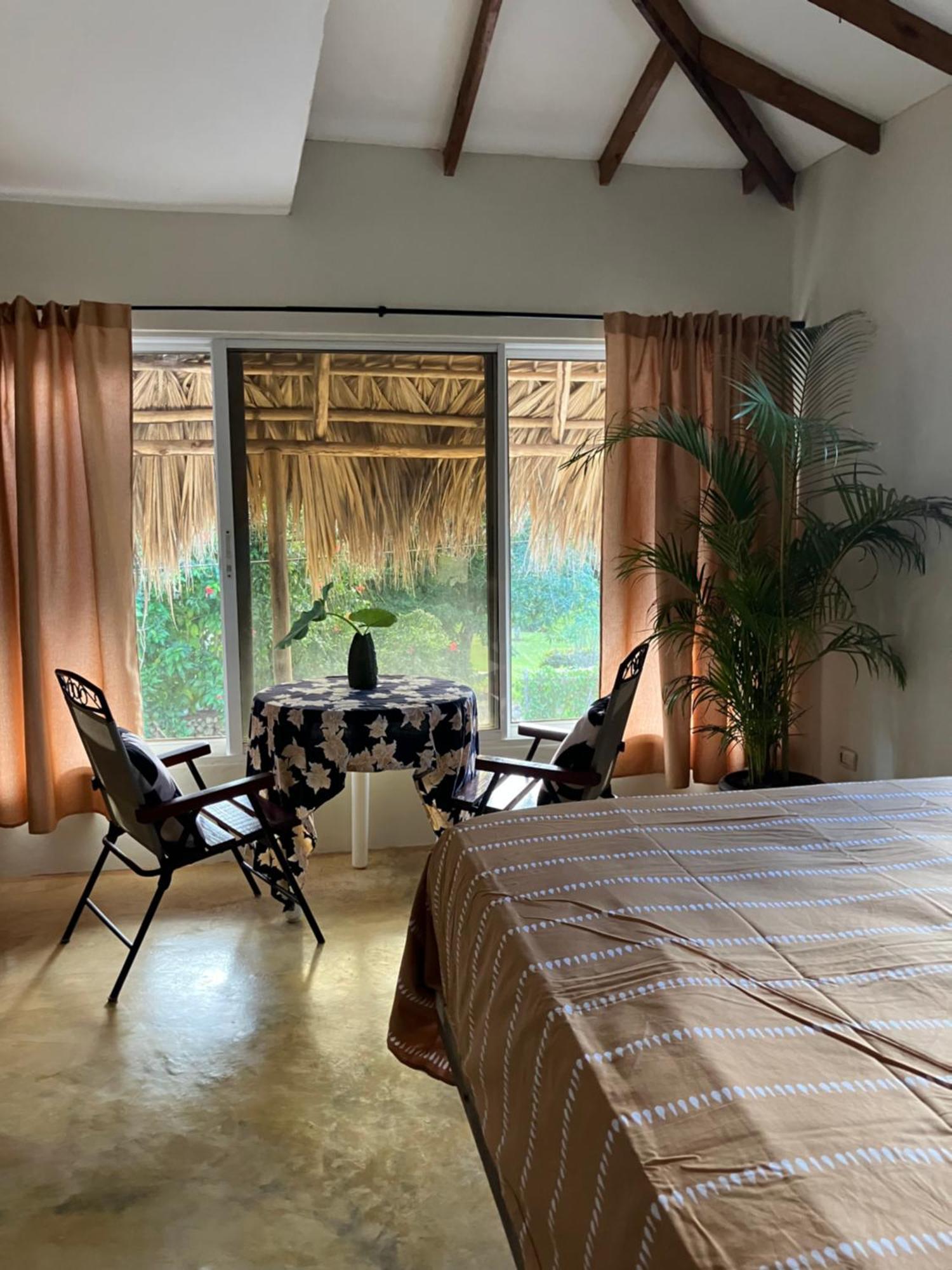 Yes Papa! Rooms Only 100M From The Beach! Las Galeras Dış mekan fotoğraf